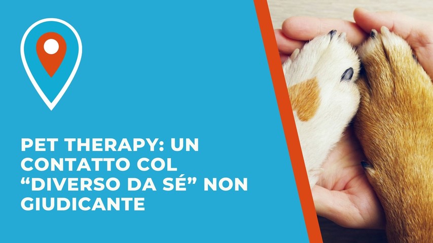Pet therapy: un contatto col “diverso da sé” non giudicante